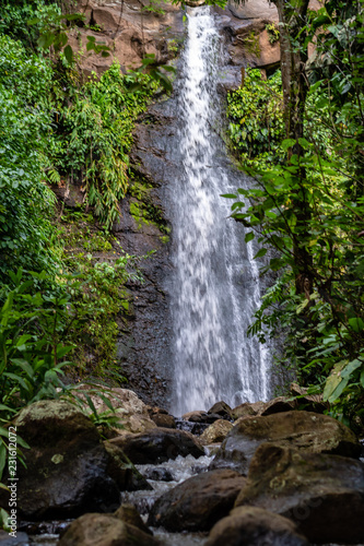 water fall in Guatemalan woods