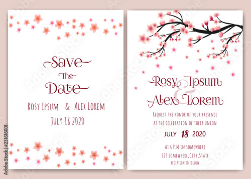 Pink cherry blossom wedding crad.Cherry blossom background