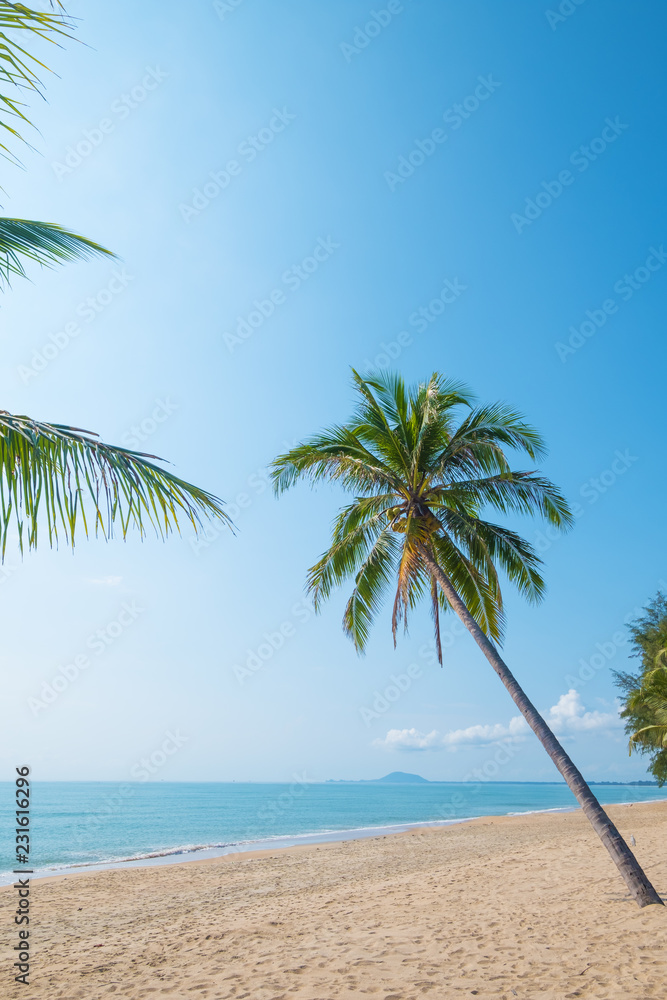 Fototapeta premium Beautiful landscape of coconut palm tree on tropical beach (seascape) in summer. Summer background concept.