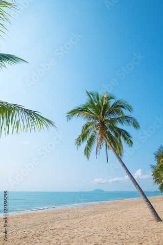 Beautiful landscape of coconut palm tree on tropical beach  seascape  in summer. Summer background concept.