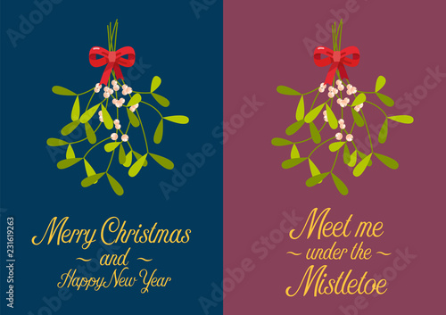 Christmas mistletoe poster