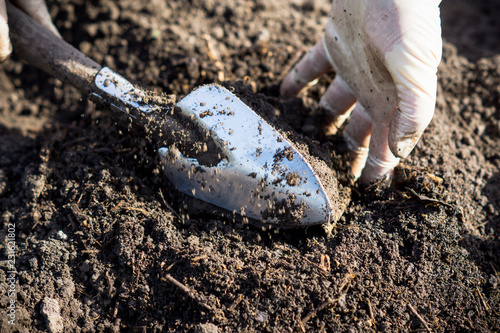 Wallpaper Mural Spring garden work. Selective focus.  Torontodigital.ca