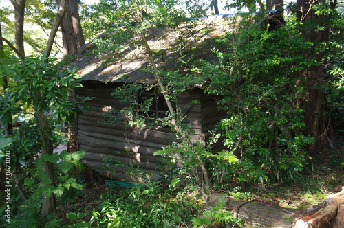 森の中の廃屋