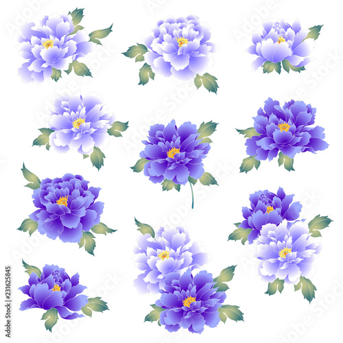 日本的な牡丹花,