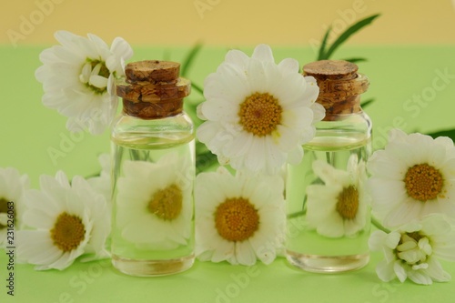 Chamomile essential oil set in glass bottles and chamomile on a combined green-yellow background.Organic Natural Pure Oil