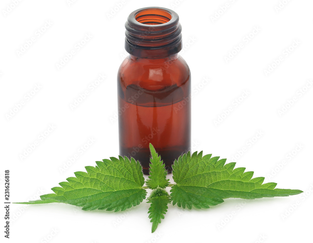 Nettle leaves with extract in a bottle Nettle leaves with extract in a bottle