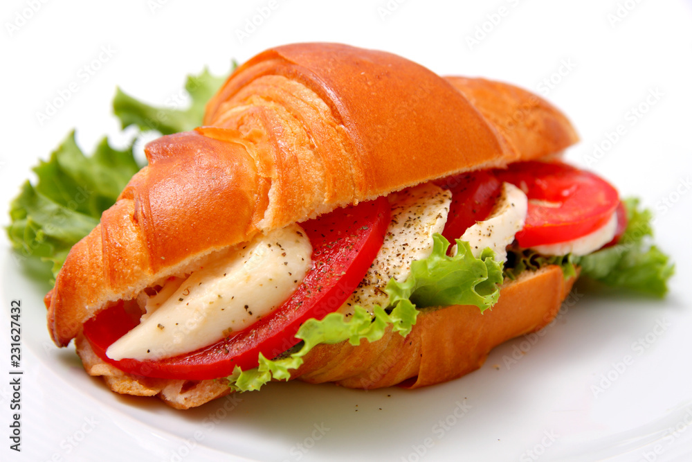 sandwich with cheese and tomatoes sandwich with cheese and tomatoes
