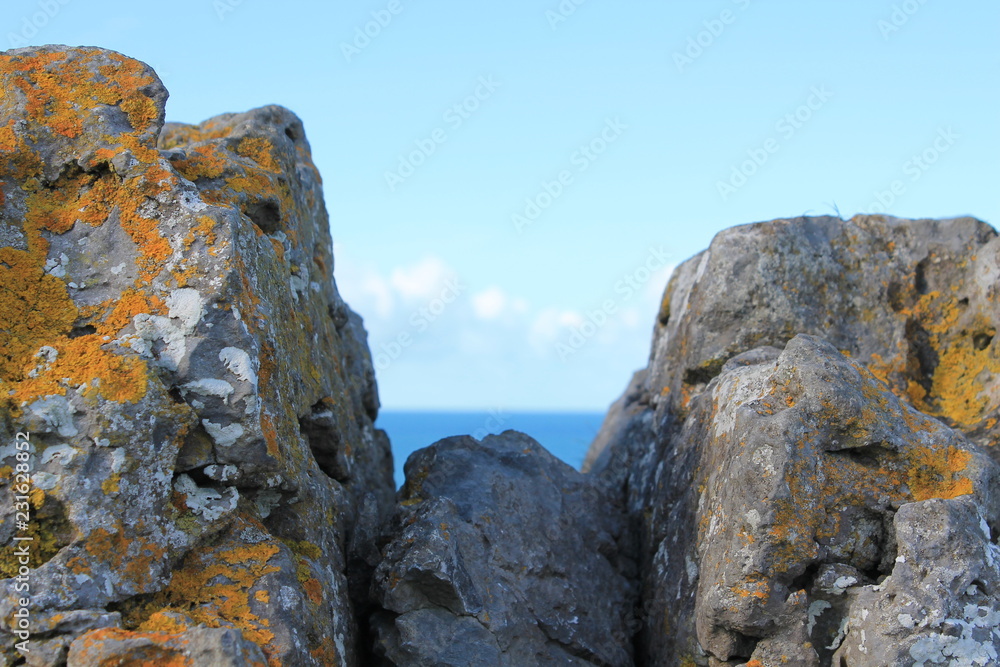 rock in the sea rock in the sea