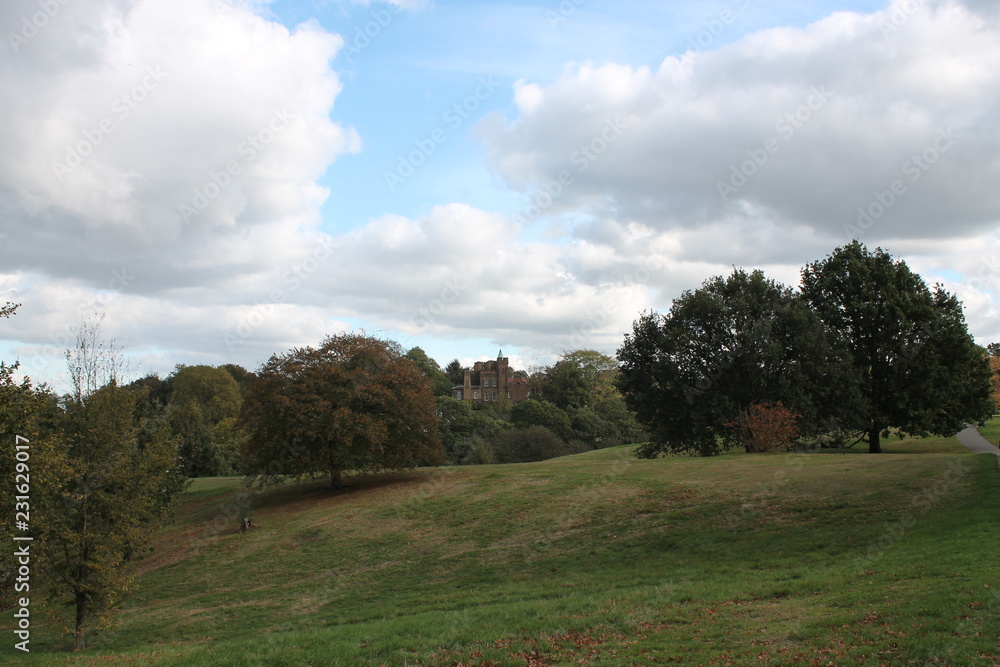 landscape with trees and blue sky landscape with trees and blue sky