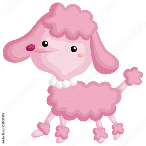 a pink poodle walking around with pink fur