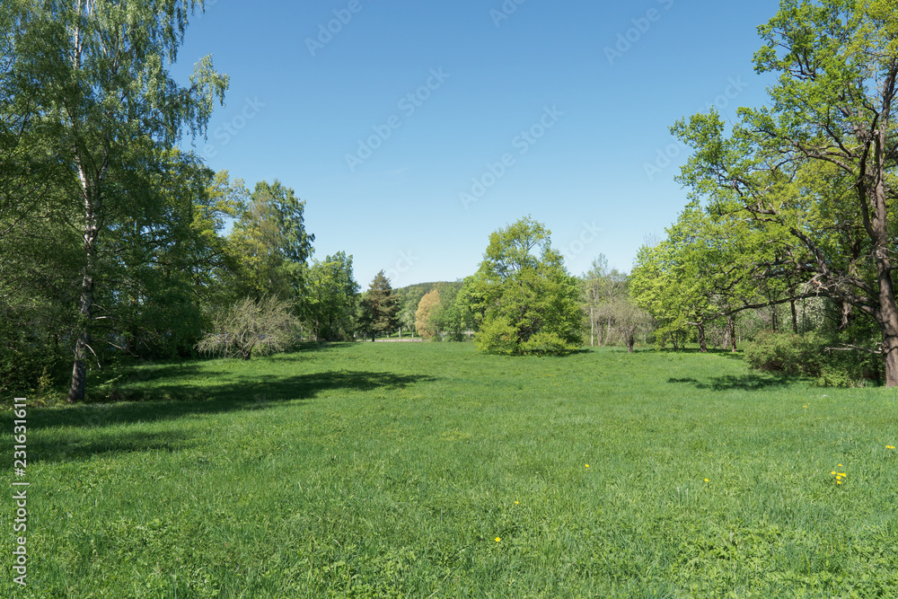 Open field in park, empty