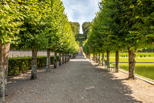 Fototapeta Naklejka Na Ścianę i Meble -  Alley of beautifully trimmed trees in the middle of famous renaissance park in chateau Villandry, Loire region, France.