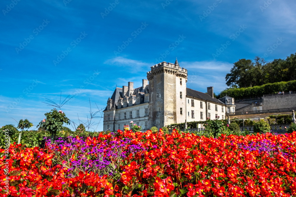 Flowers in the park with chateau Villandry on the background, Loire region, France.