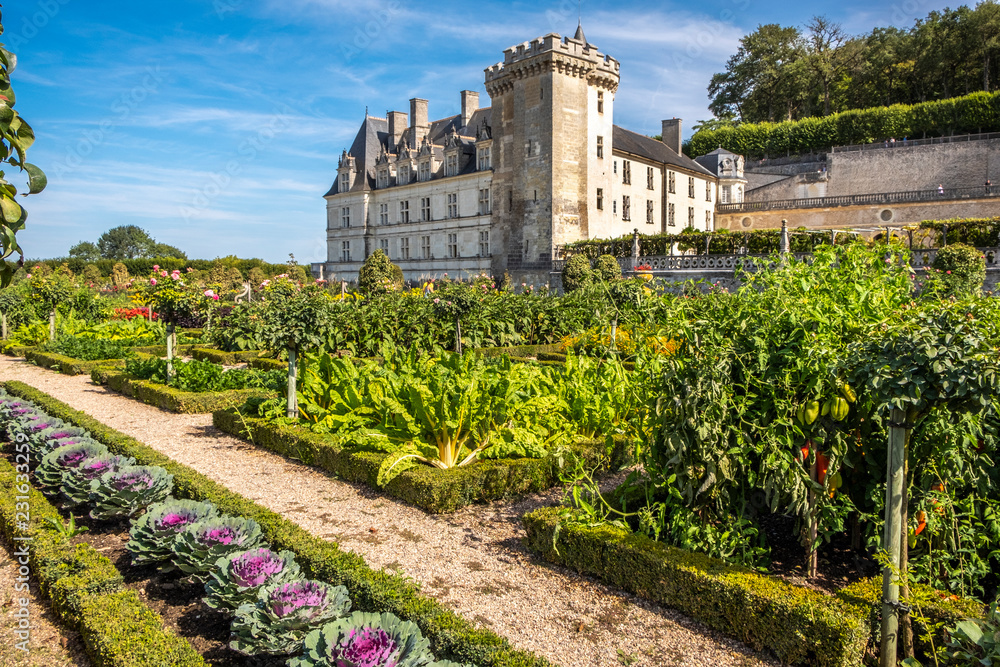 Fototapeta premium Beautiful vegetable garden with chateau Villandry on the background, Loire region, France.