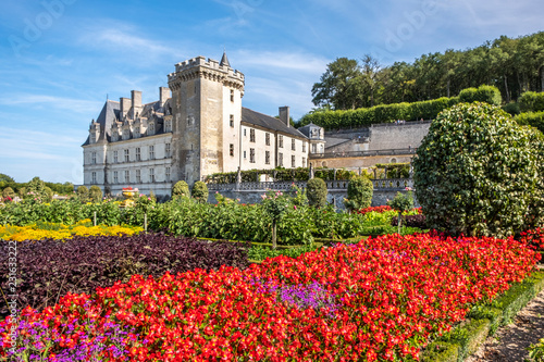 Canvas Print Beautiful vegetable garden with chateau Villandry on the background, Loire region, France