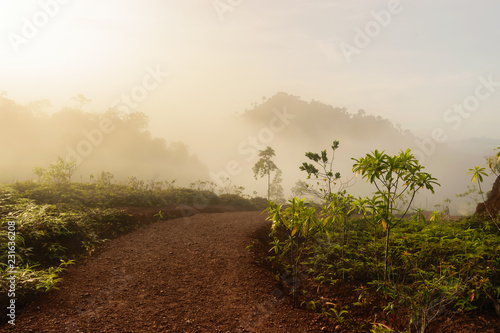 Dirt road at Krungshing fog view point of landscape at Noppitam, Nakhon Si Thammarat in Thailand. photo