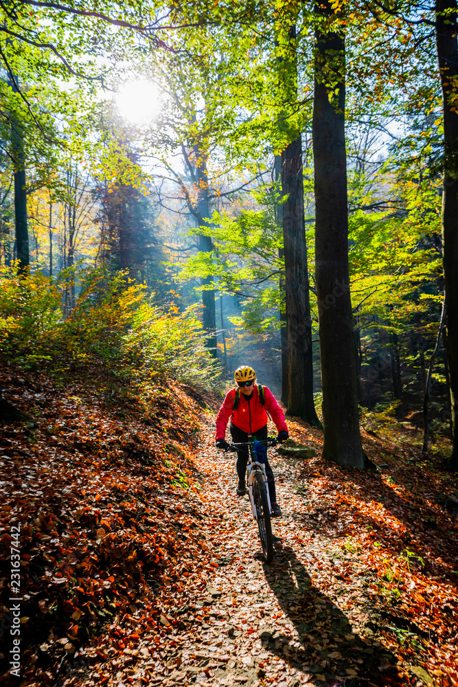 Fototapeta premium Cycling, mountain bikeing woman on cycle trail in autumn forest. Mountain biking in autumn landscape forest. Woman cycling MTB flow uphill trail.