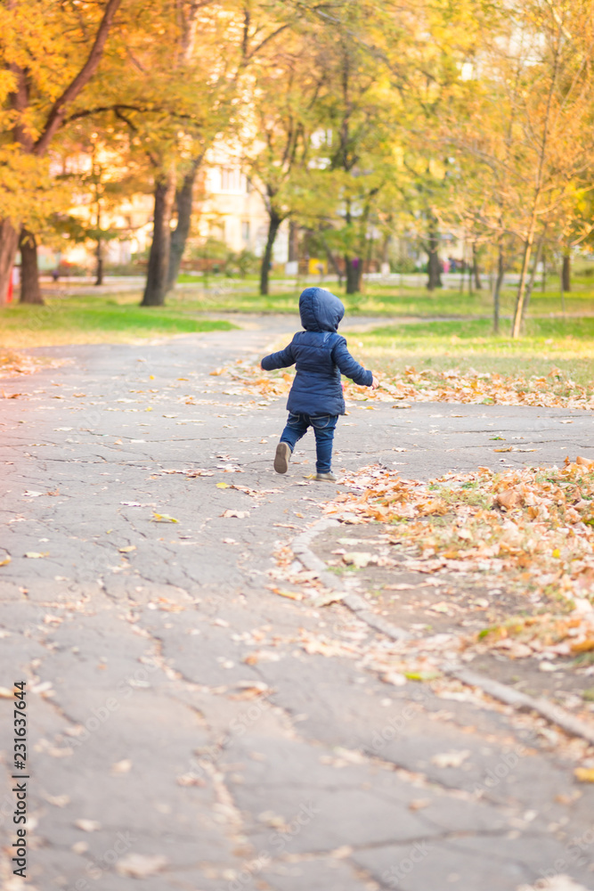 Fototapeta premium baby boy walking away in colorful autumn park
