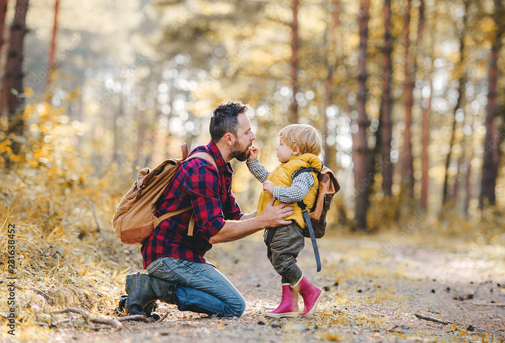 A toddler boy giving an apple to his father in an autumn forest. A toddler boy giving an apple to his father in an autumn forest.