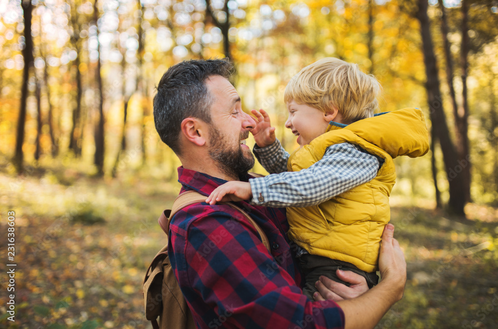 A mature father holding a toddler son in an autumn forest, having fun. A mature father holding a toddler son in an autumn forest, having fun.