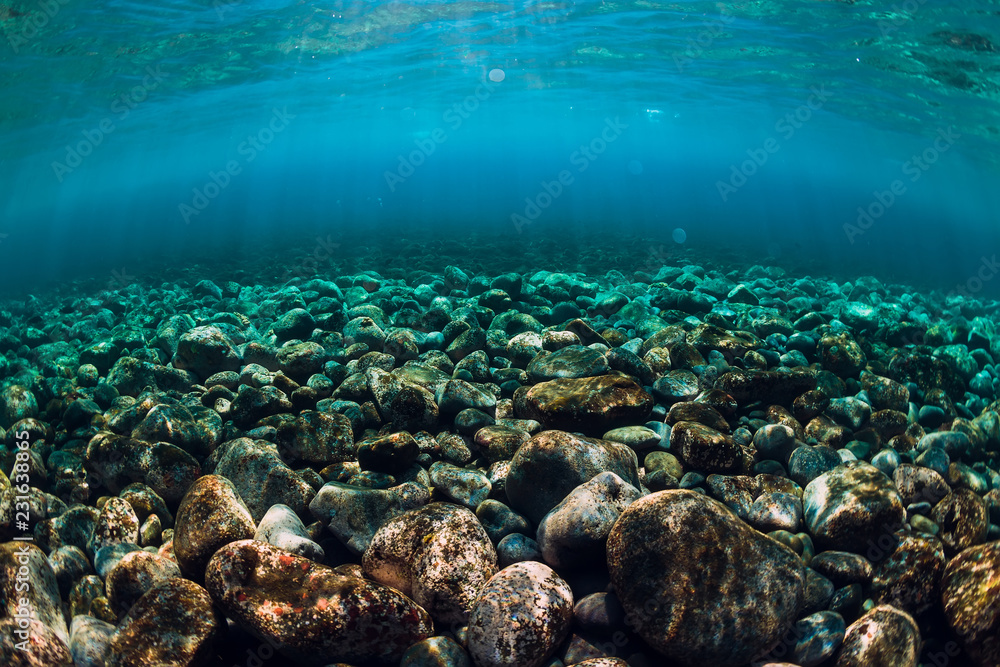 Obraz premium Underwater scene with stones, copy space. Ocean texture