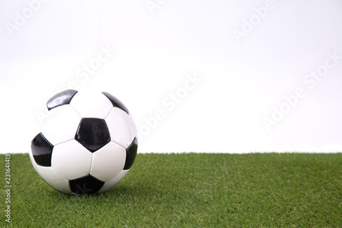 芝生とサッカーボール © buritora