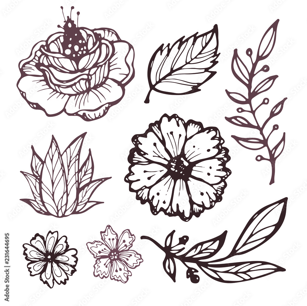 Hand drawn doodle flowers and leaves