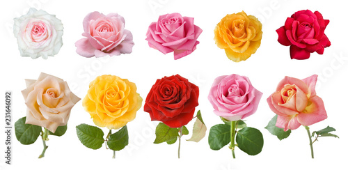 beautiful roses bunch