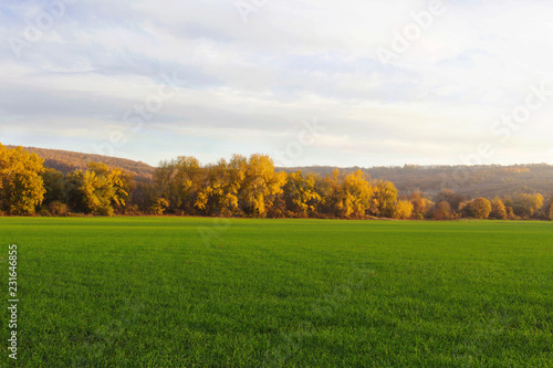 autumn landscape with wheat field and blue sky