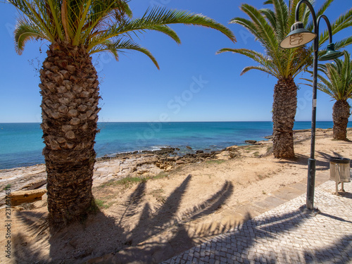 Portuguese beach with palm trees
