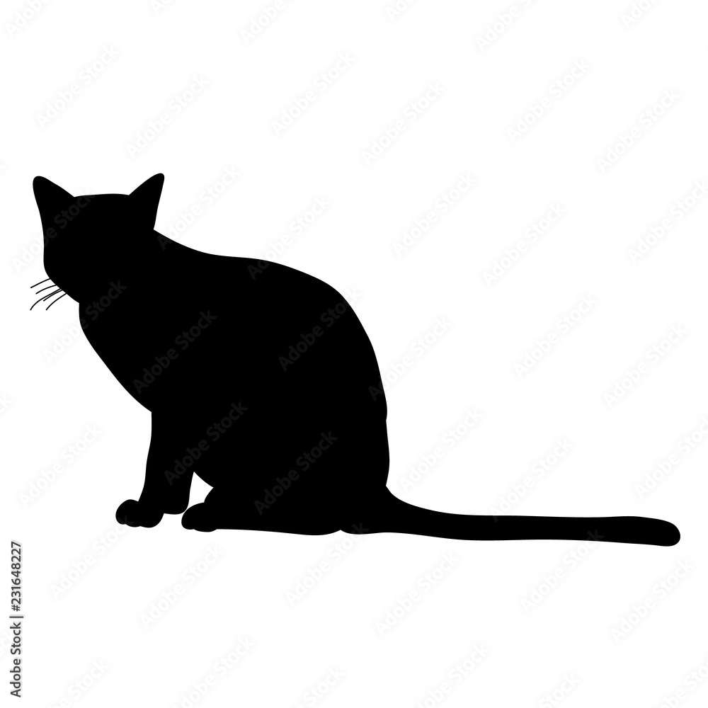 silhouette cat sitting