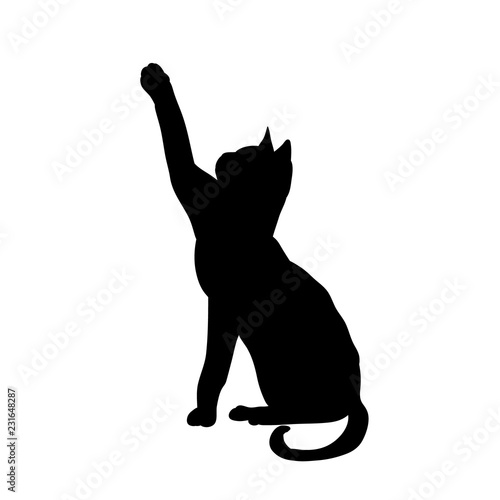 black silhouette of a cat