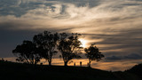 Silhouette image of people walking at the top of Mt Eden at Sunset