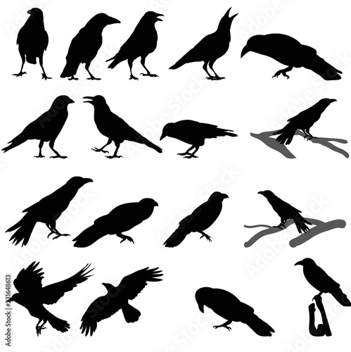 a collection of silhouettes of birds, crows