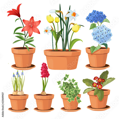 Modern flower pots. Colored decorative plants tree tulip vector illustrations. Colored flower botanical, bright bloom flowerpot