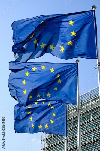 European flags in front of the Berlaymont building, European Commission Brussels, Belgium, Europe photo