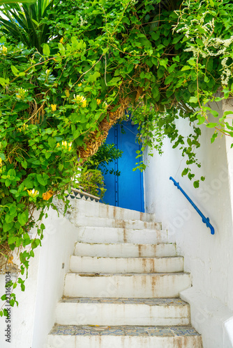 Aged Blue door in Andalusian style from Sidi Bou Said
