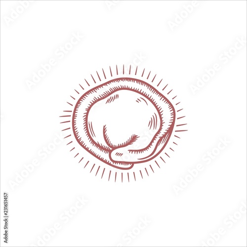 Dumpling drawing illusration