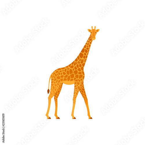 Giraffe. Vector. Animal of Africa. Wild nature. Tropical fauna isolated in flat design. Zoo mammal on white background. Cartoon Illustration.