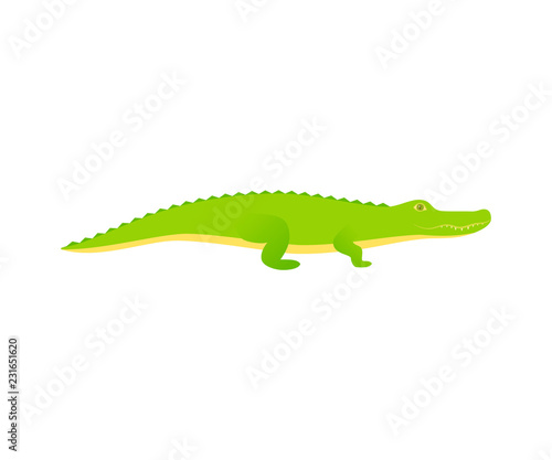 Crocodile. Vector. Alligator reptile in flat design. Wild fauna isolated. Zoo animal on white background. Cartoon Illustration.