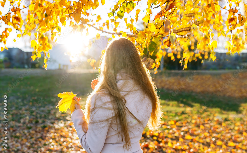 Young woman relaxing in a autumn park. Back view