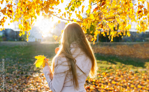 Obraz na płótnie Young woman relaxing in a autumn park. Back view w salonie