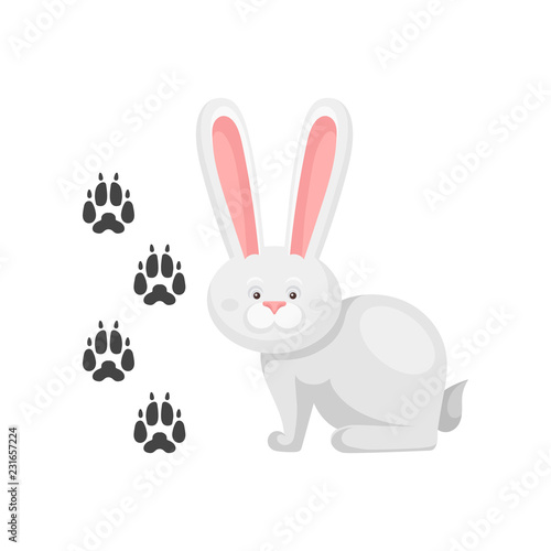 Cute little bunny and his footprints tracks. Mammal animal with long ears. Zoo theme. Flat vector element for children book