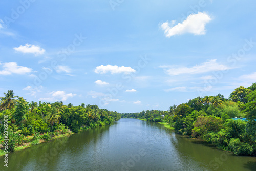 River view in Kerala  India.