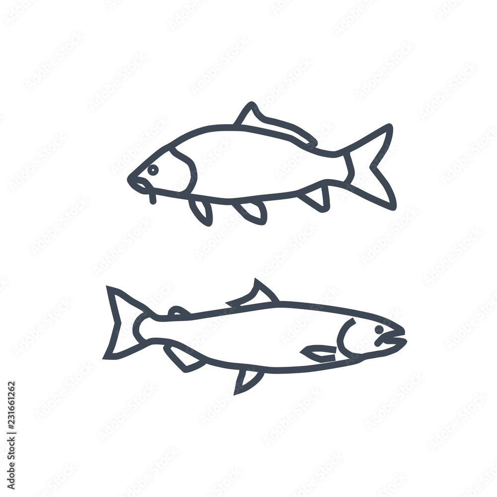 thin line icon fish, carp and salmon thin line icon fish, carp and salmon