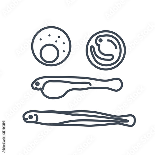 thin line icon caviar, eggs and larvae, juvenile fish