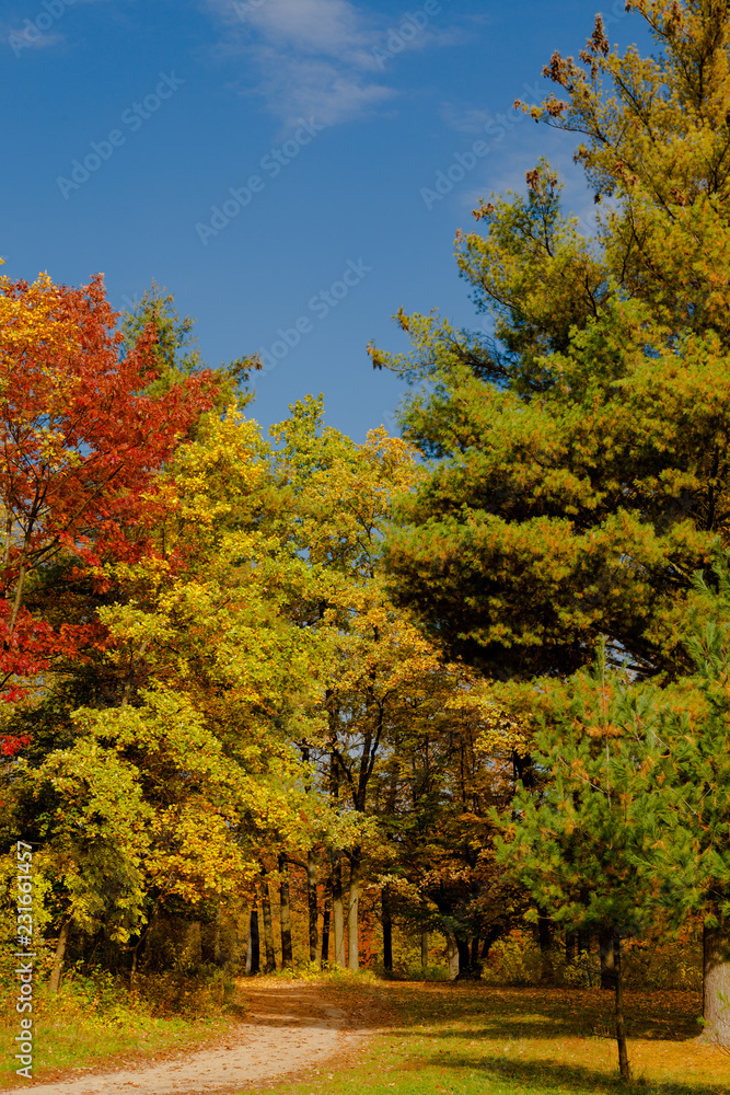 autumn park landscape design