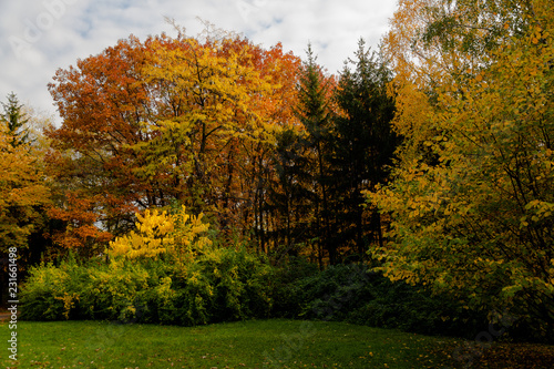 autumn park landscape design