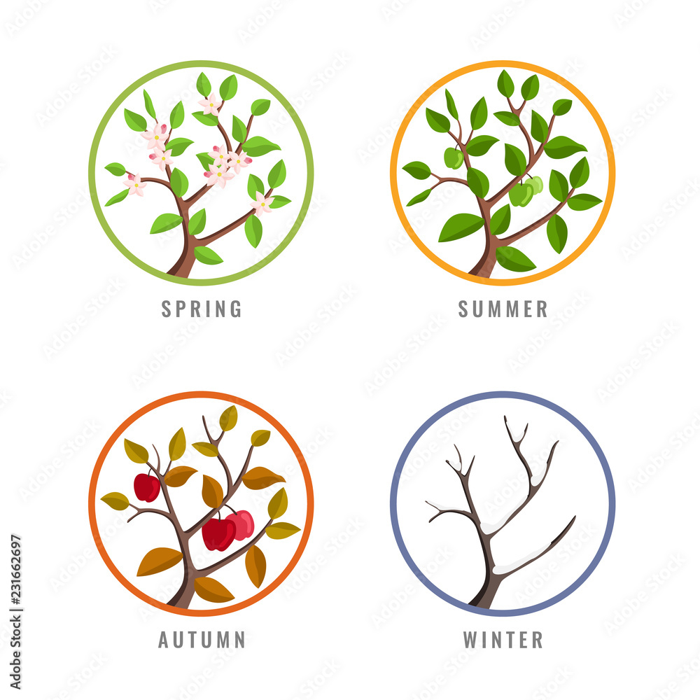 Vecteur Stock four season concept with apple tree season change in