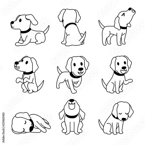 Vector cartoon character labrador dog poses